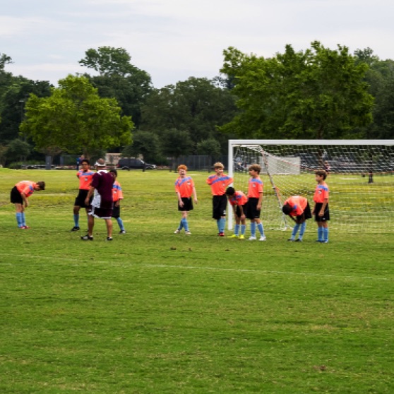 1024-9270001.jpg 1024-9270001.jpg