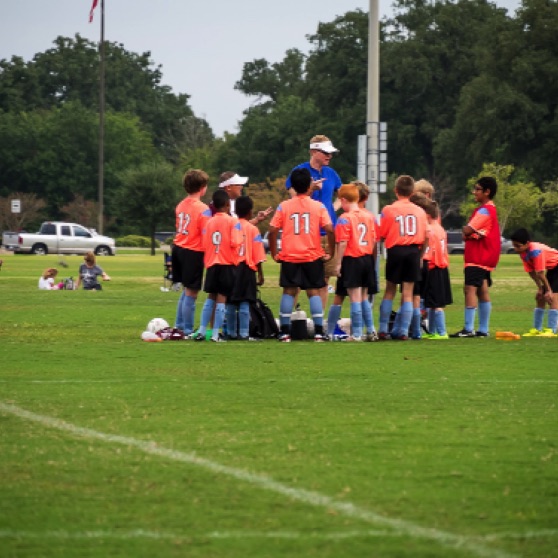 1024-9270017.jpg 1024-9270017.jpg