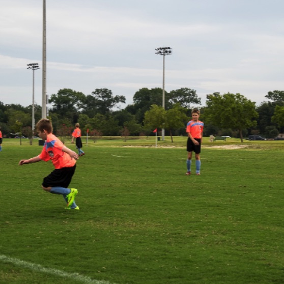 1024-9270020.jpg 1024-9270020.jpg