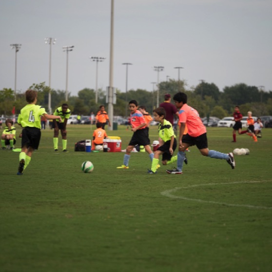 1024-9270035.jpg 1024-9270035.jpg