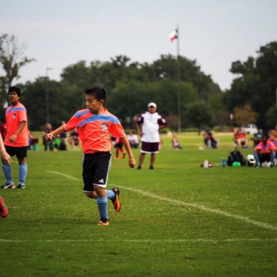 1024-9270041.jpg 1024-9270041.jpg