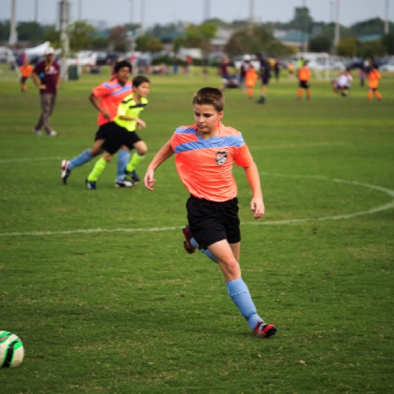 1024-9270042.jpg 1024-9270042.jpg