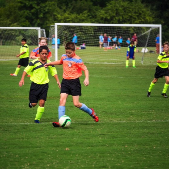 1024-9270068.jpg 1024-9270068.jpg