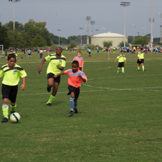 1024-9270082.jpg 1024-9270082.jpg