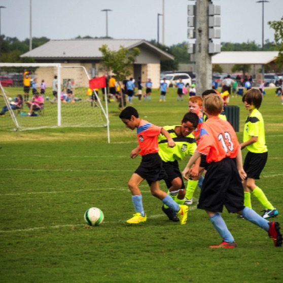 1024-9270107.jpg 1024-9270107.jpg