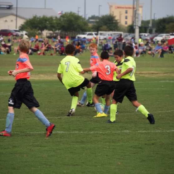 1024-9270109.jpg 1024-9270109.jpg