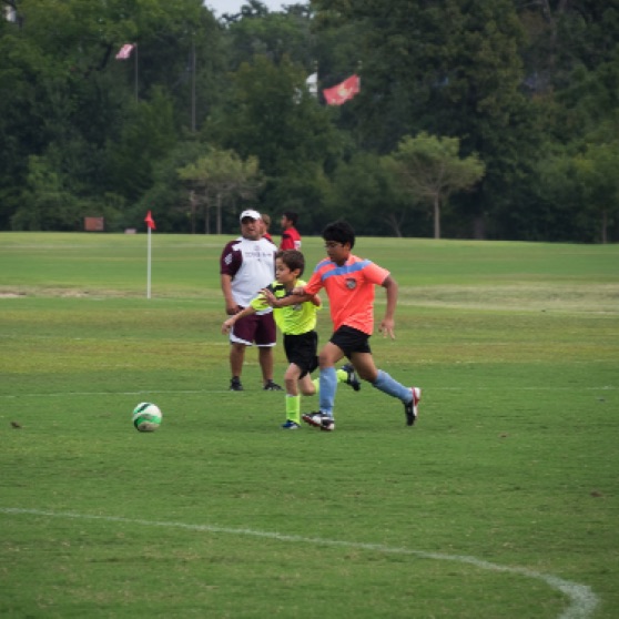 1024-9270112.jpg 1024-9270112.jpg