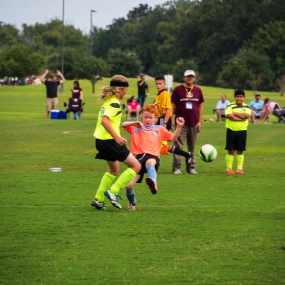 1024-9270115.jpg 1024-9270115.jpg