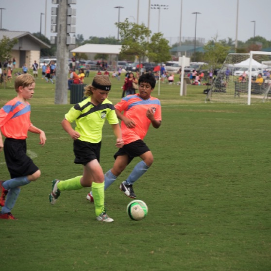 1024-9270128.jpg 1024-9270128.jpg