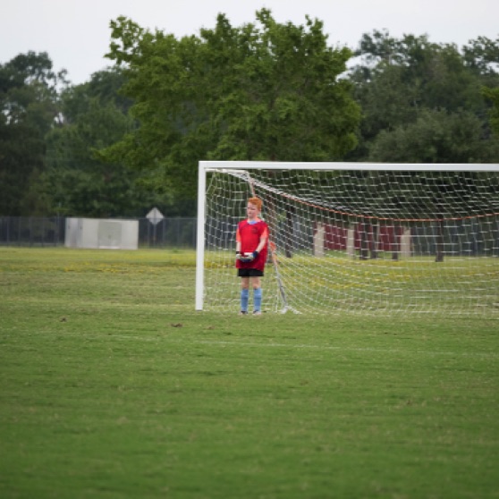 1024-9270140.jpg 1024-9270140.jpg