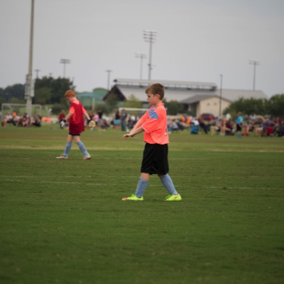 1024-9270144.jpg 1024-9270144.jpg