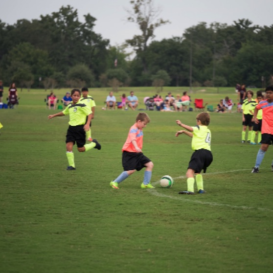 1024-9270171.jpg 1024-9270171.jpg