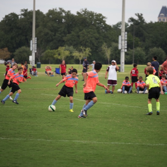 1024-9270173.jpg 1024-9270173.jpg