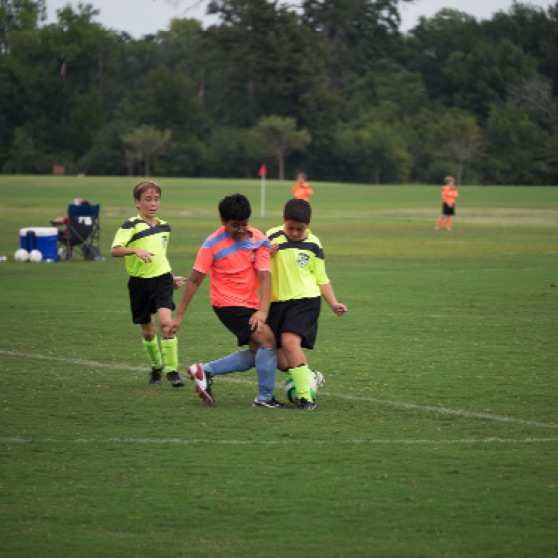 1024-9270178.jpg 1024-9270178.jpg