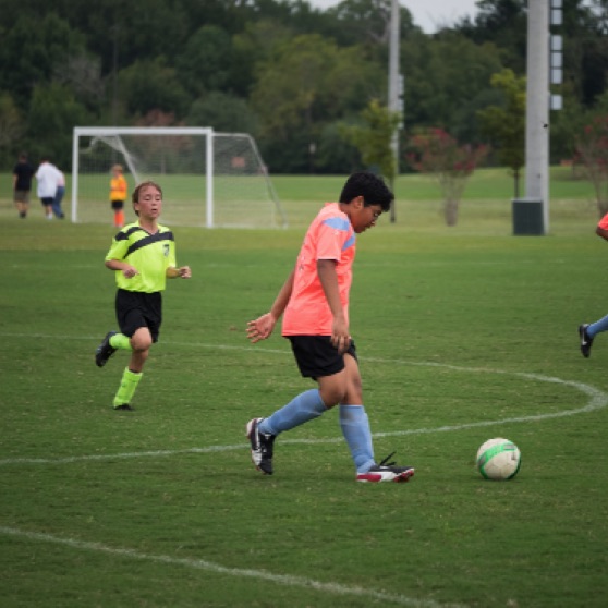 1024-9270204.jpg 1024-9270204.jpg