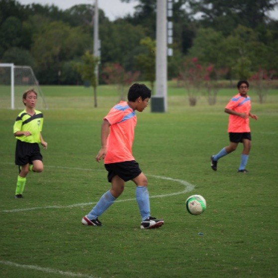 1024-9270206.jpg 1024-9270206.jpg