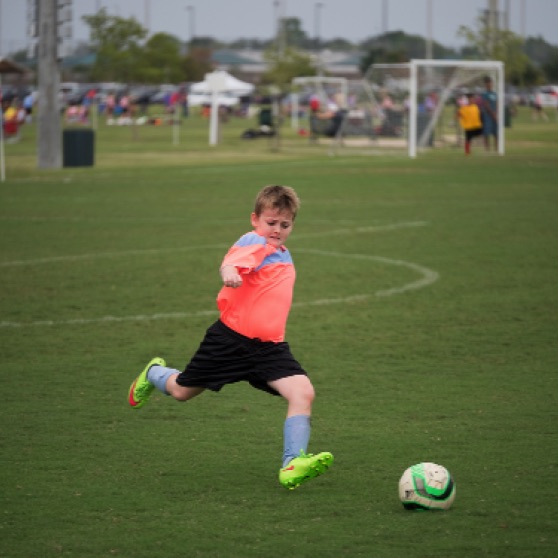 1024-9270208.jpg 1024-9270208.jpg