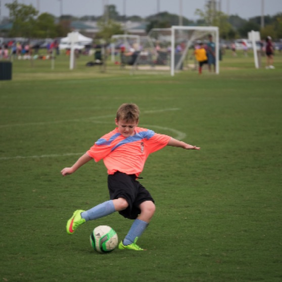 1024-9270209.jpg 1024-9270209.jpg