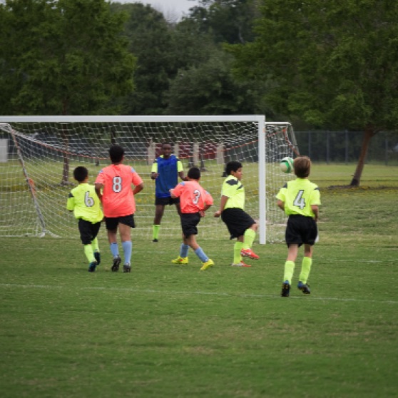 1024-9270241.jpg 1024-9270241.jpg