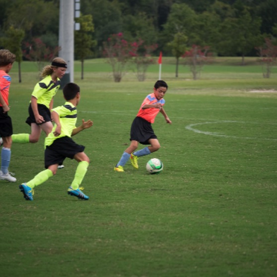 1024-9270253.jpg 1024-9270253.jpg