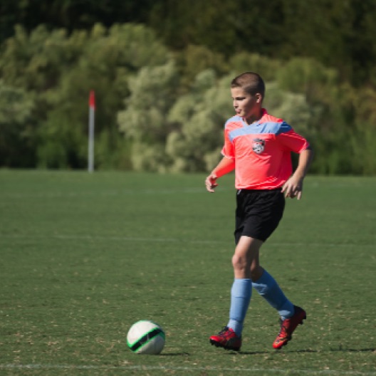 1024-06950.jpg 1024-06950.jpg