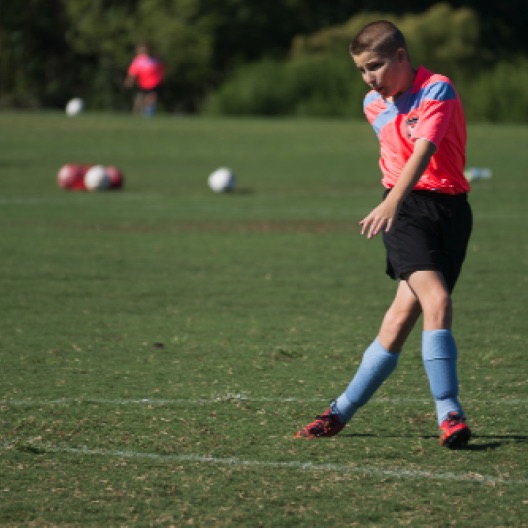 1024-06955.jpg 1024-06955.jpg