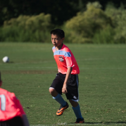 1024-06960.jpg 1024-06960.jpg