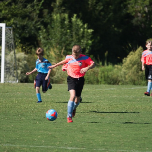 1024-06990.jpg 1024-06990.jpg