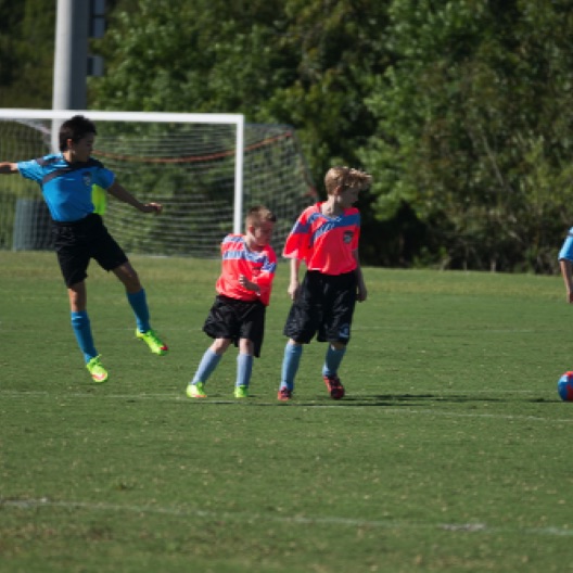 1024-07020.jpg 1024-07020.jpg