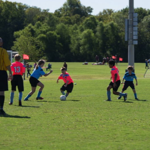 1024-07112.jpg 1024-07112.jpg