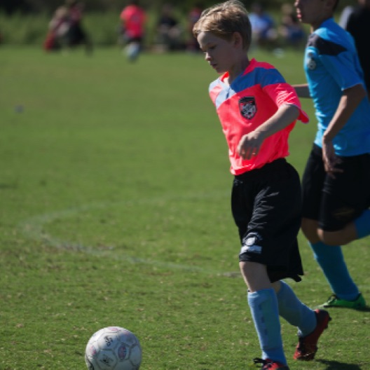 1024-07131.jpg 1024-07131.jpg