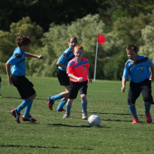 1024-07155.jpg 1024-07155.jpg