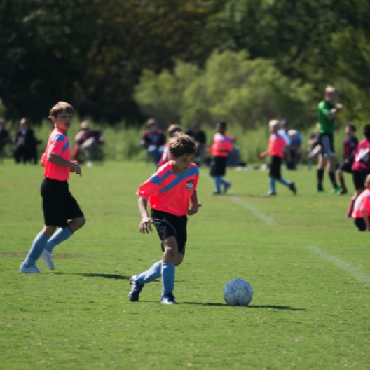 1024-07169.jpg 1024-07169.jpg