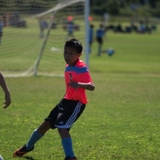 1024-07174.jpg 1024-07174.jpg