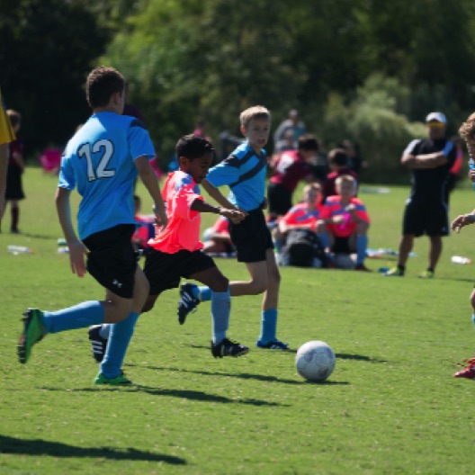 1024-07181.jpg 1024-07181.jpg