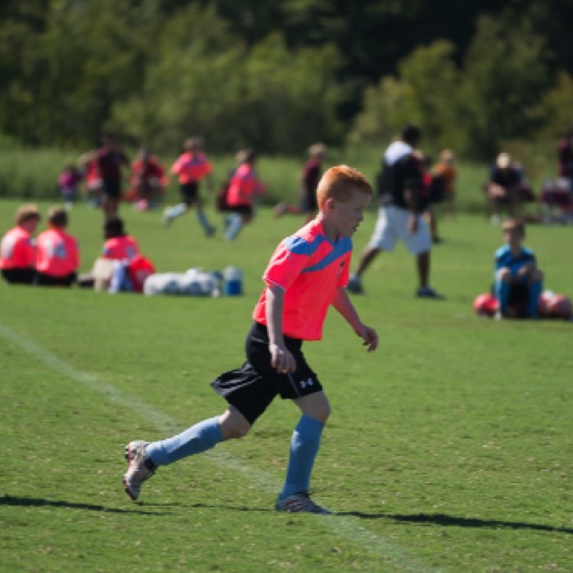 1024-07183.jpg 1024-07183.jpg