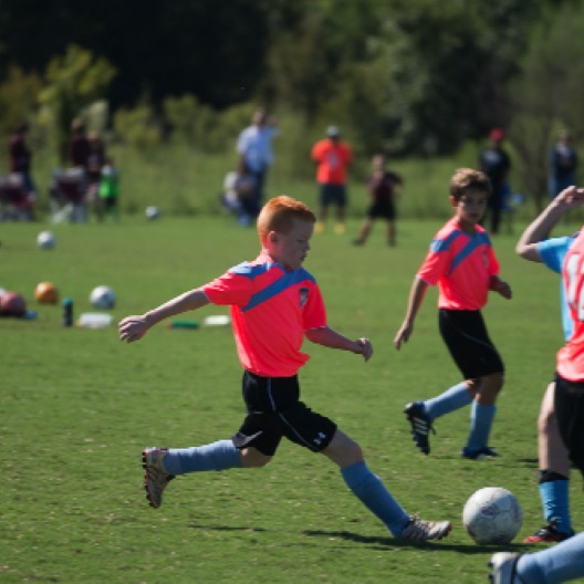 1024-07184.jpg 1024-07184.jpg