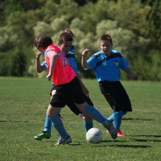 1024-07195.jpg 1024-07195.jpg