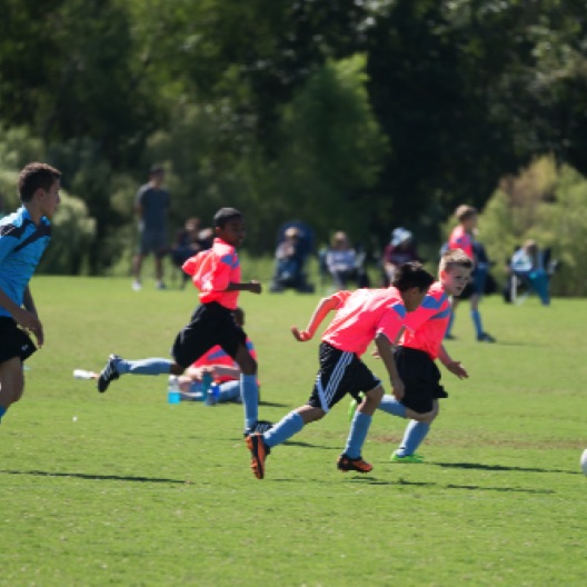 1024-07203.jpg 1024-07203.jpg