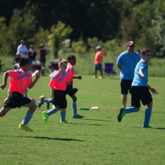 1024-07207.jpg 1024-07207.jpg