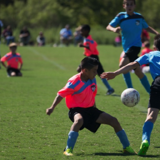 1024-07224.jpg 1024-07224.jpg