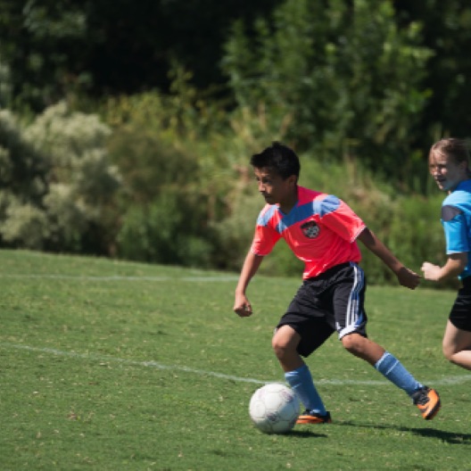 1024-07230.jpg 1024-07230.jpg