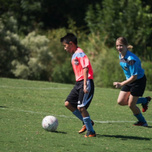 1024-07231.jpg 1024-07231.jpg