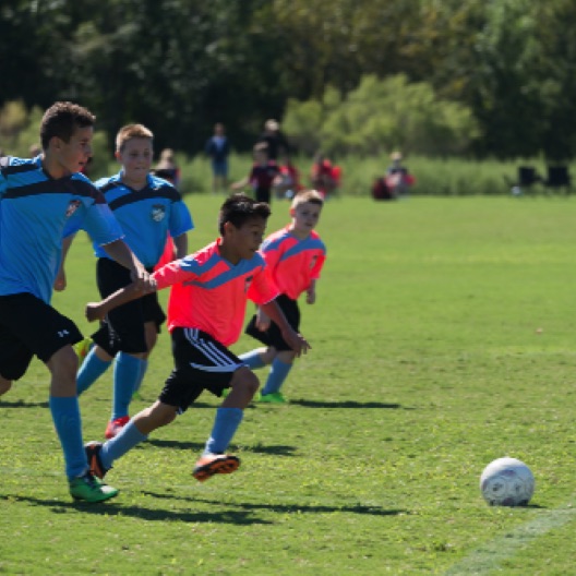 1024-07238.jpg 1024-07238.jpg