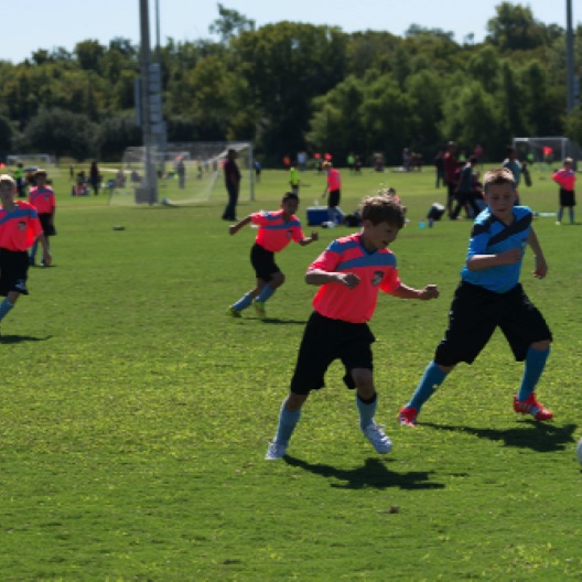 1024-07241.jpg 1024-07241.jpg