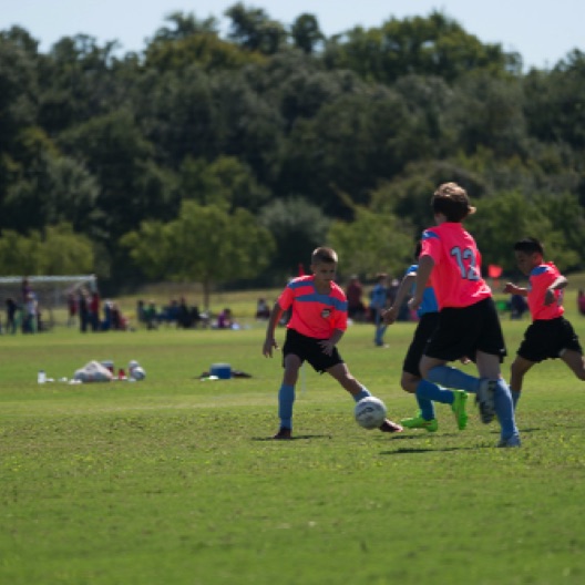 1024-07245.jpg 1024-07245.jpg