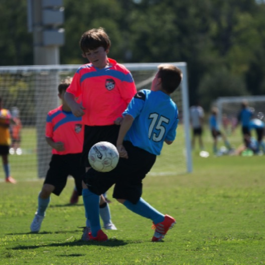 1024-07259.jpg 1024-07259.jpg