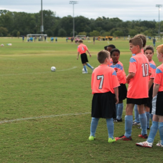 1024-01136.jpg 1024-01136.jpg