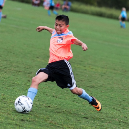 1024-01149.jpg 1024-01149.jpg