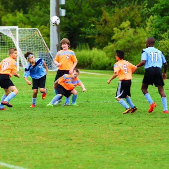 1024-01150.jpg 1024-01150.jpg